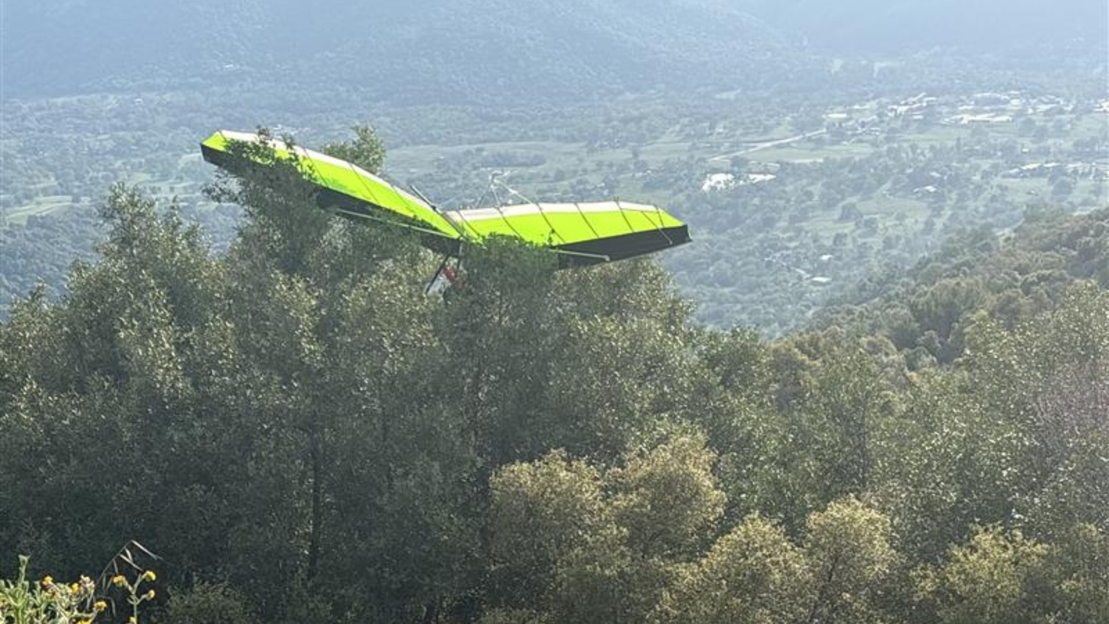 Paraglider rescued after flying into a tree in Fresno County