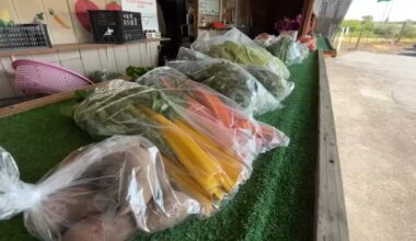 Valley heat speeds up crop growth, concerns rise for winter vegetables