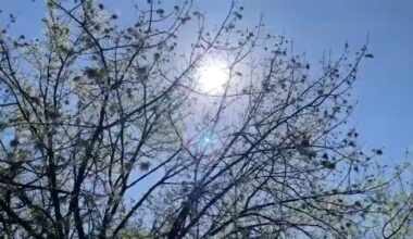 Central Valley braces for record-breaking heat in March