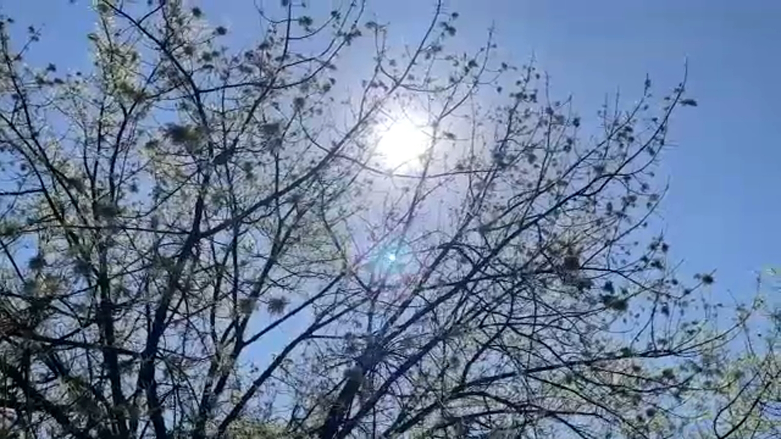 Central Valley braces for record-breaking heat in March