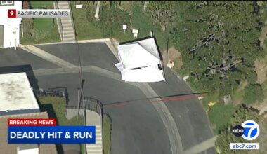 Pacific Palisades hit-and-run leaves man dead