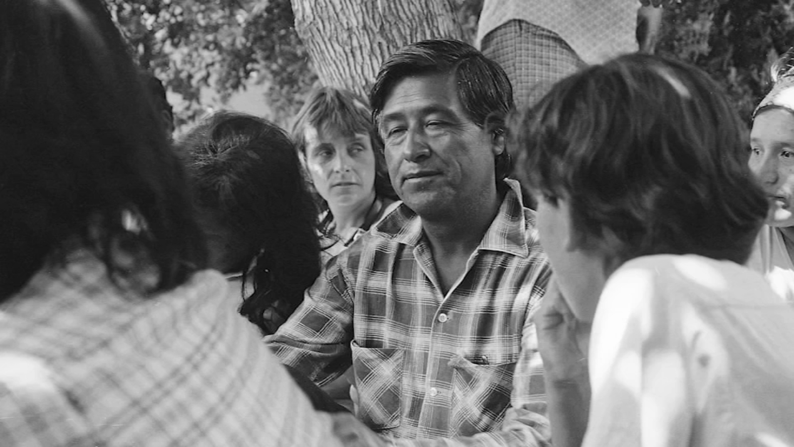Cesar Chavez: San Jose Bay Area community reacts to 'devastating' allegations involving late United Farm Workers union president