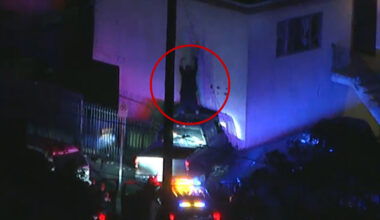 Driver gets on top of pickup truck after police chase ends with crash into South Los Angeles apartment building