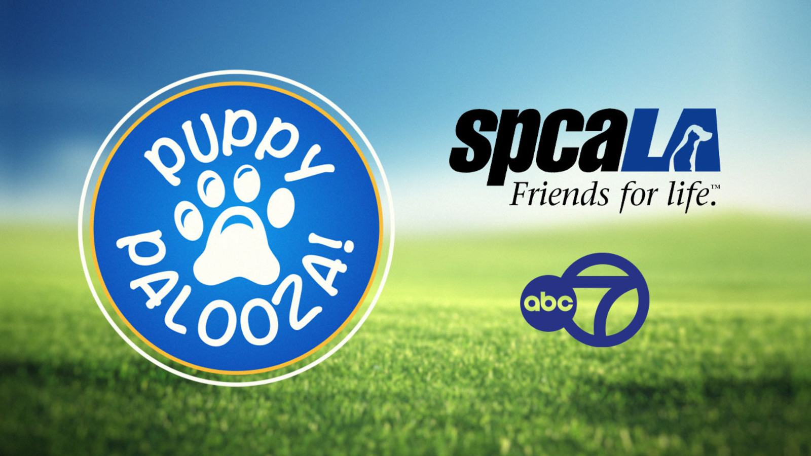 Nat'l Puppy Day celebration: 23 pups up for adoption on March 27