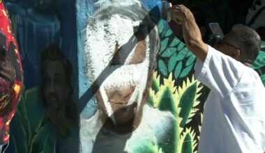 San Francisco Bay Area artists move to erase and rethink Cesar Chavez legacy