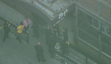 3 people stabbed during fight at downtown LA restaurant Zaya, police say; 2 suspects in custody