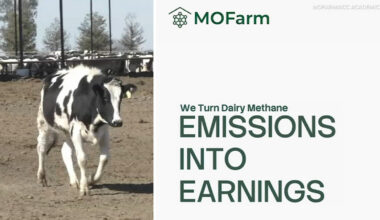 Turning cow farts into fuel: UC Berkeley team competes in Atlantic Coast Conference startup competition, needs your vote