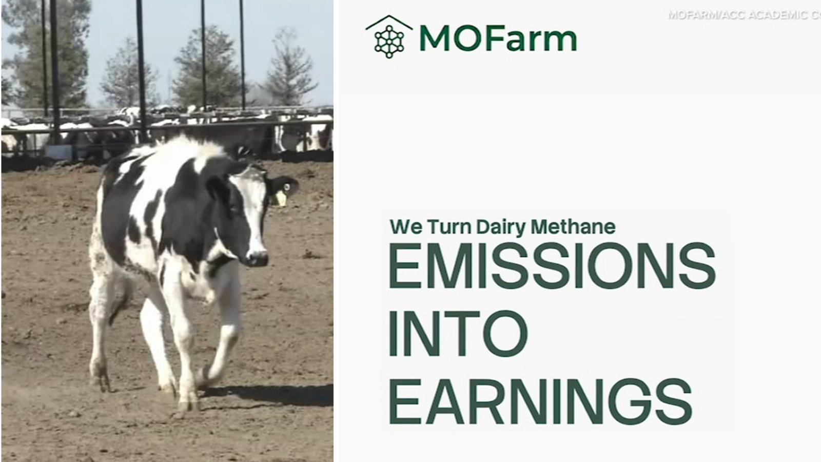 Turning cow farts into fuel: UC Berkeley team competes in Atlantic Coast Conference startup competition, needs your vote