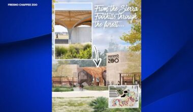 Design for new entrance at Fresno Chaffee Zoo approved