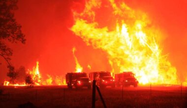 After ever-costlier California fires, new study could shape state's response to era of 'climate-fueled economic crisis'