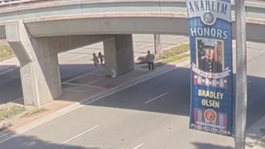 Anaheim attempted sexual assault