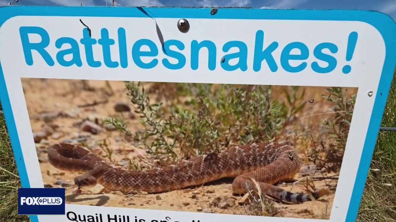 Rattlesnake encounters increase amid warm weather