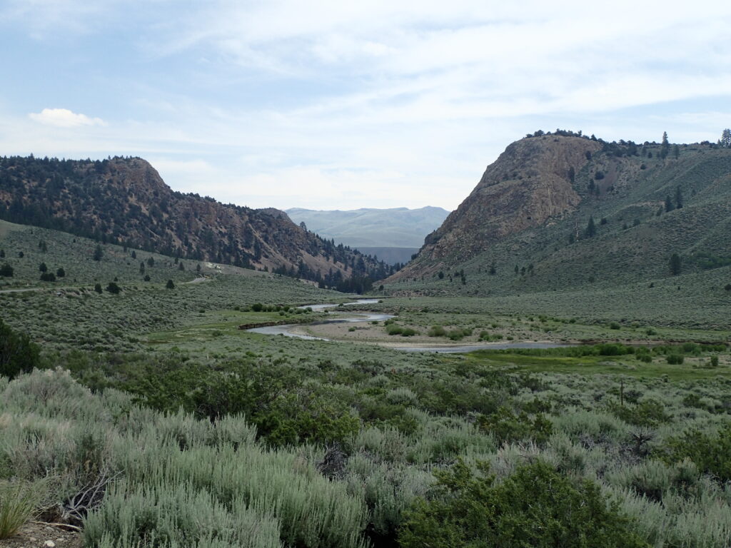 The West Walker River in California’s Sierra Nevada near Pickel Meadow | California Department of Fish and Wildlife