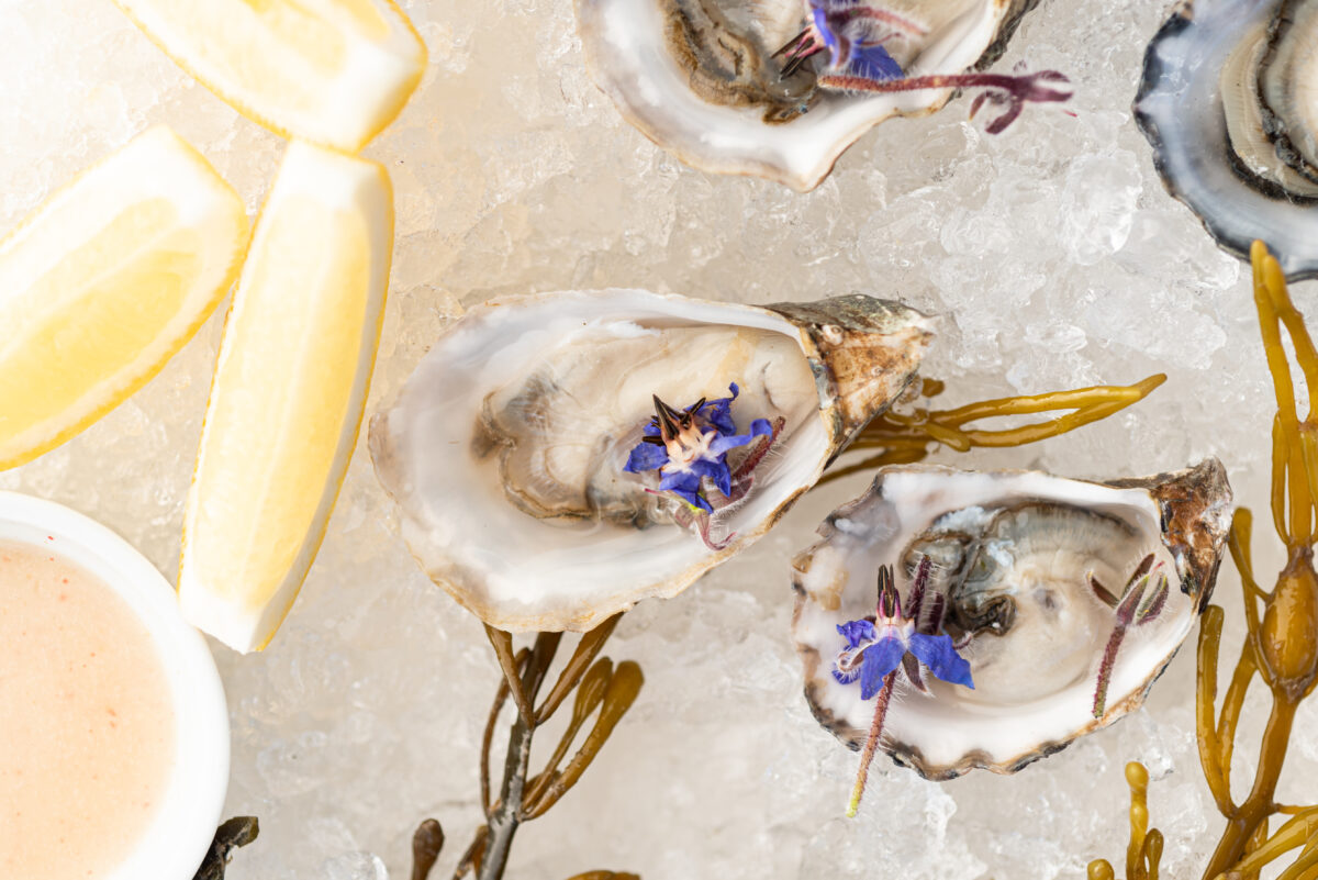 Easter brunch shutters on the beach