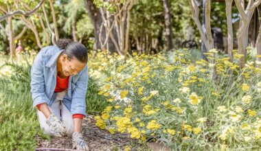 Learn how to get cash back for water-saving upgrades at free March 25 webinar