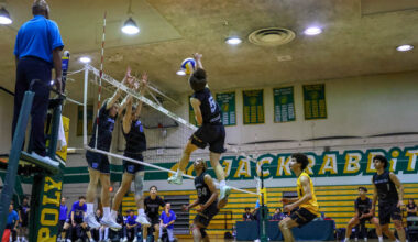 Long Beach Poly Opens Moore League Play With Win Over Jordan – The562.org
