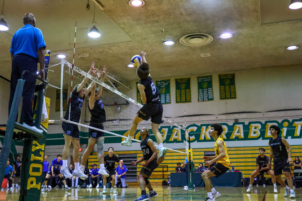 Long Beach Poly Opens Moore League Play With Win Over Jordan – The562.org