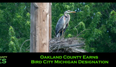 Oakland County Earns Bird City Michigan Designation
