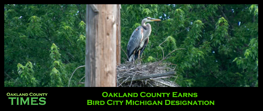 Oakland County Earns Bird City Michigan Designation