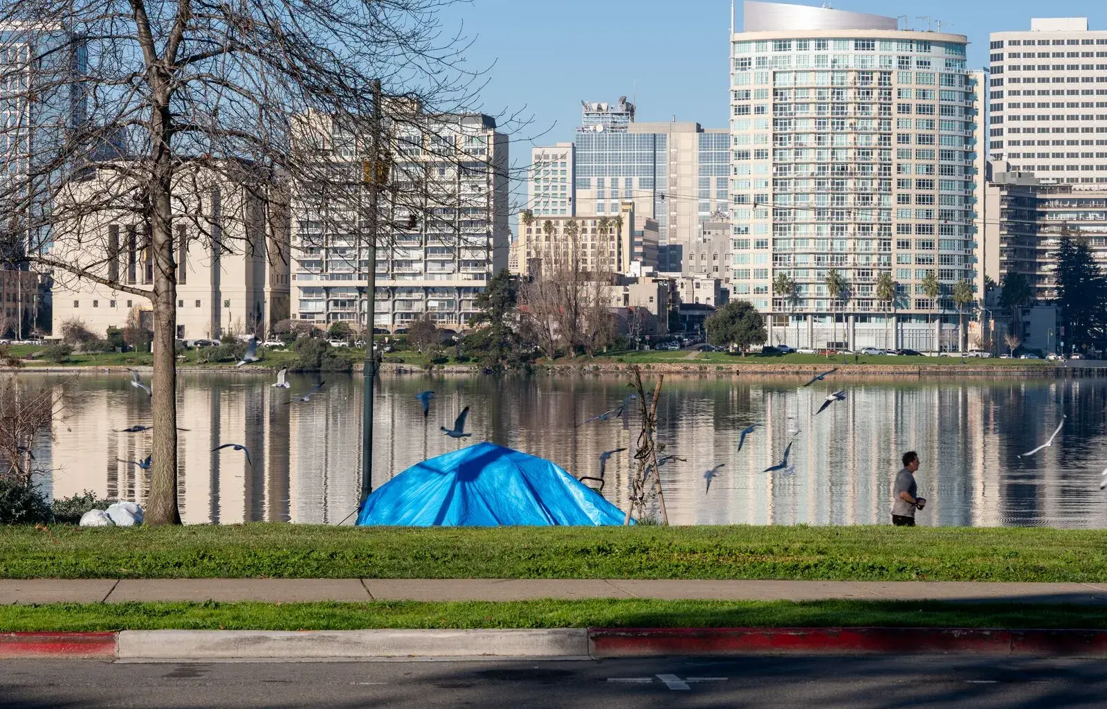 Cut homelessness by 50% in Oakland? A new plan says it’s possible
