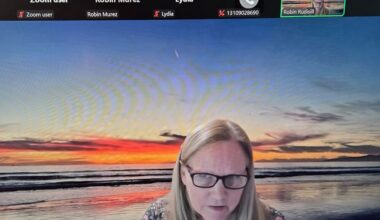 Venice Shorts: Committee on Charter Reform Addresses Goals, Outreach Objectives