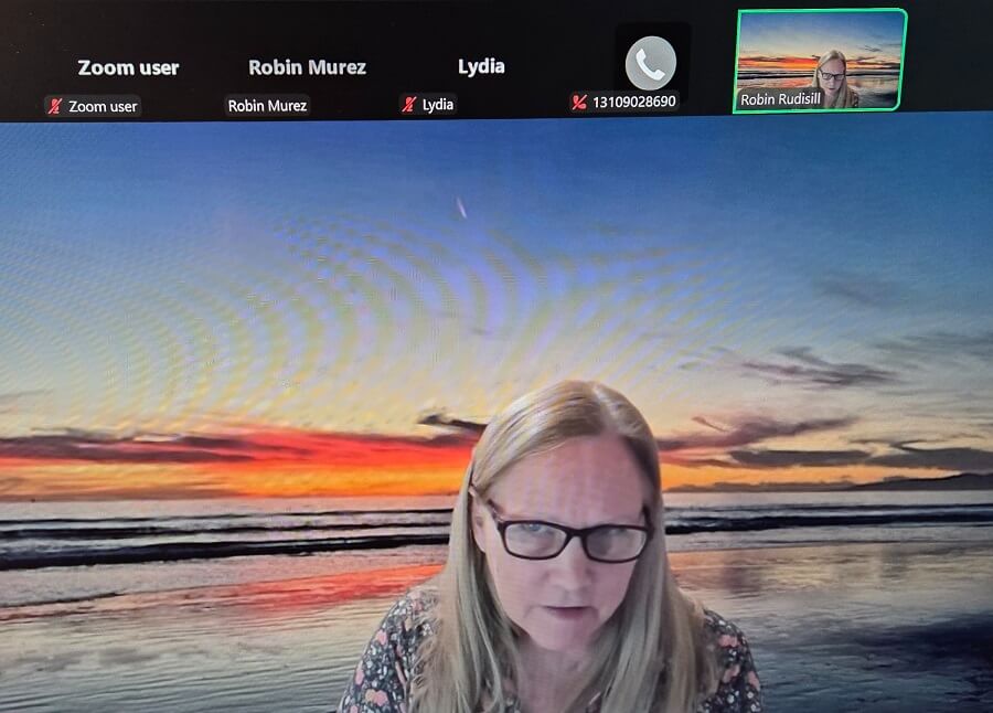 Venice Shorts: Committee on Charter Reform Addresses Goals, Outreach Objectives