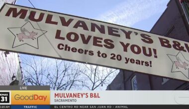 Enjoy a St. Patrick's Day dinnerat Mulvaney's B&L!