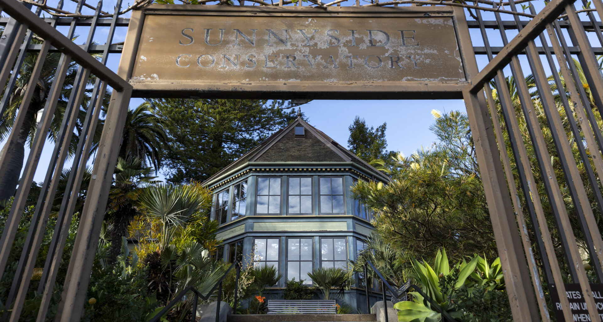 The Eccentric Personalities Behind Sunnyside Conservatory, a 120-Year-Old Garden in San Francisco