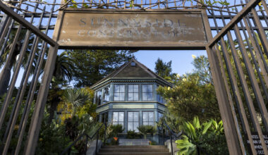 The Eccentric Personalities Behind Sunnyside Conservatory, a 120-Year-Old Garden in San Francisco