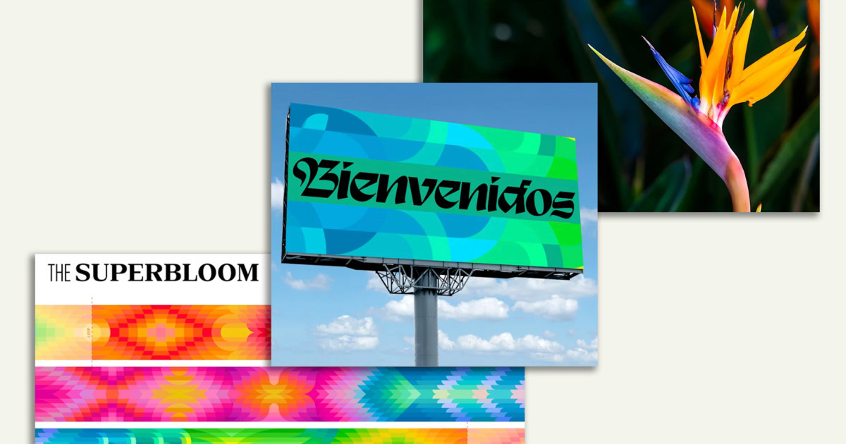 LA28 unveils floral-inspired visual identity for 2028 Olympics