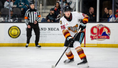Sharks Swap Prospect Defensemen With Canucks