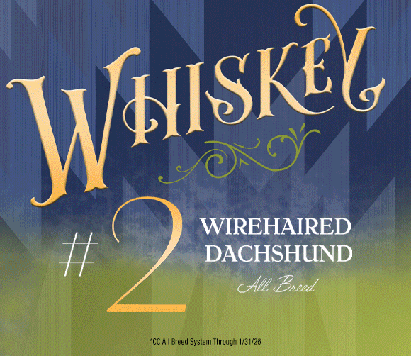 27 Siniscalco_SR032026