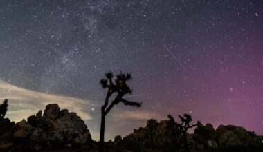 California national parks predicted to be No. 2 for visitors in 2026
