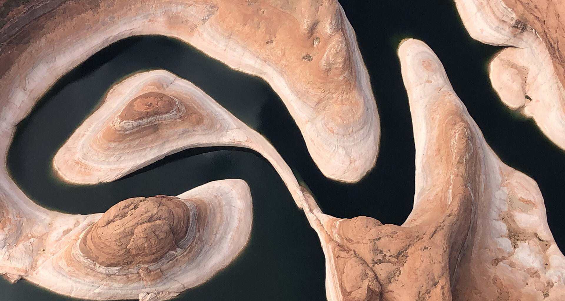 California, other states blast federal playbook for Colorado River options