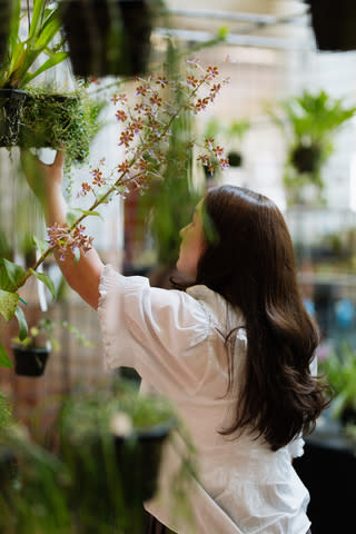 Garden Show 2025