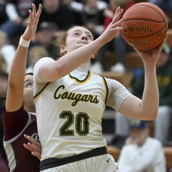 Blackhawk, Oakland Catholic earn spots in WPIAL finals rematch