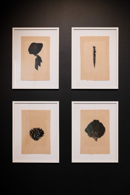 Four framed botanical prints with black illustrations on beige paper are arranged in a two-by-two grid on a dark wall.