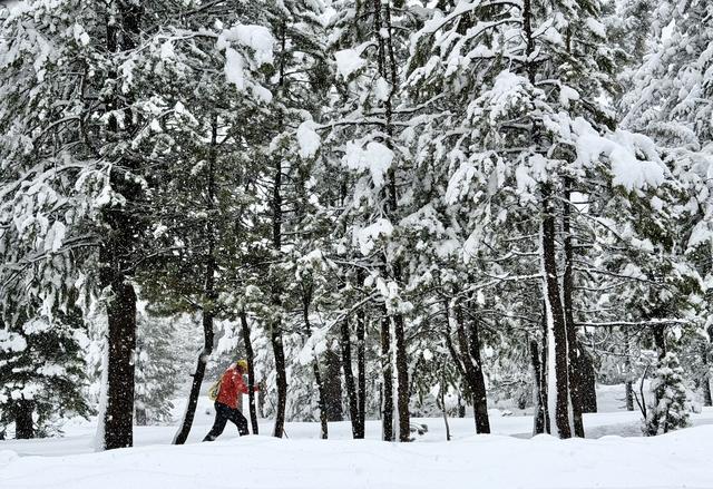 A person cross-country skis during a snowstorm in South Lake Tahoe, California, on Jan. 4, 2026. 