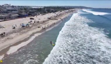 San Diego Lifeguards warn beach-goers about stingrays