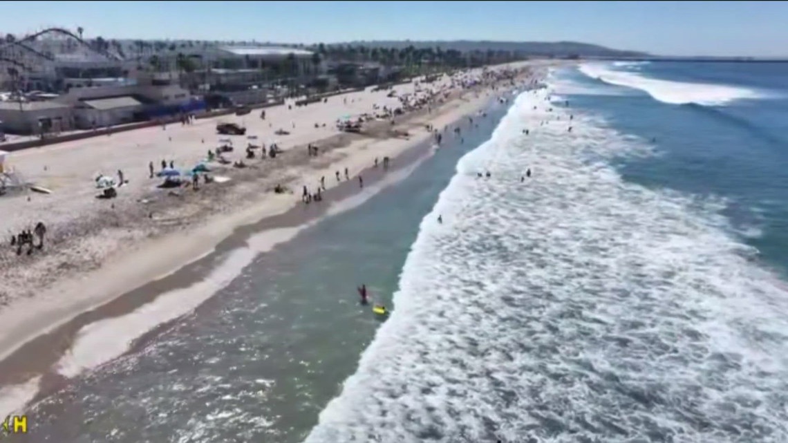 San Diego Lifeguards warn beach-goers about stingrays