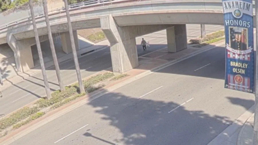 Anaheim attempted sexual assault