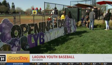 Laguna Youth Baseball, 9am - Good Day Sacramento