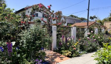 It's ribbon time - each spring, Coronado's streets become the show