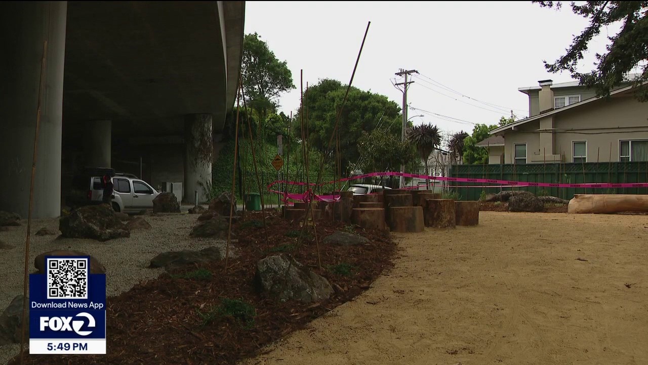 Blighted corner turned into blooming garden in Oakland