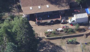 Historic California animal rescue: Estimated 400 dogs, 300 cats rescued in Lake Hughes