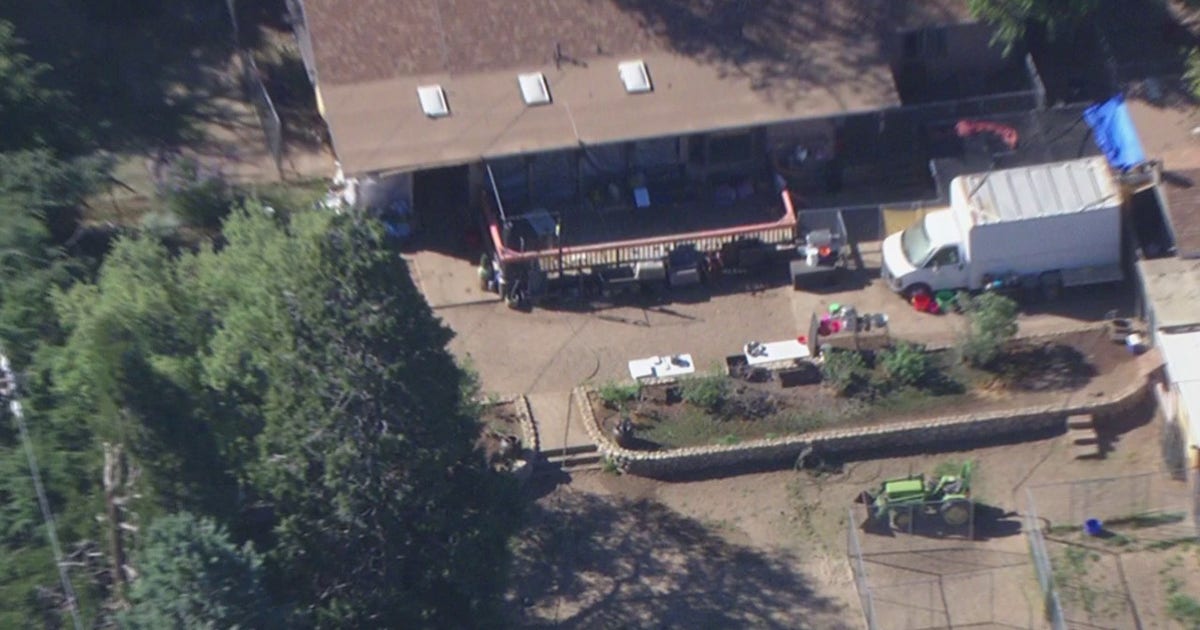 Historic California animal rescue: Estimated 400 dogs, 300 cats rescued in Lake Hughes