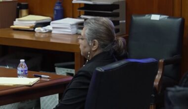 Parents’ testimony reveals safety concerns at San Jose daycare where two toddlers drowned – NBC Bay Area