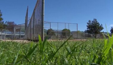 San Jose little league reports big drop in enrollment – NBC Bay Area