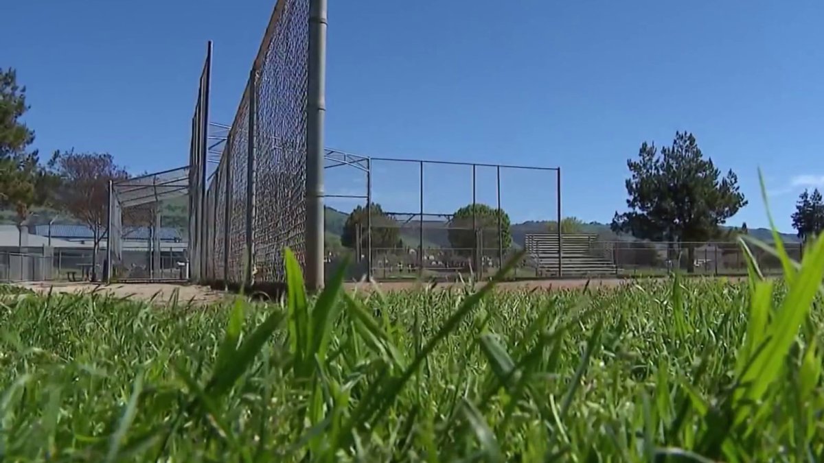 San Jose little league reports big drop in enrollment – NBC Bay Area