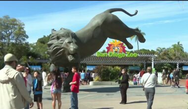 City could raise San Diego Zoo’s rent from $0 to $3M in new lease agreement – NBC 7 San Diego